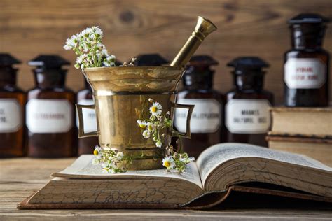 History Of Herbal Medicine Timeline Timetoast Timelines