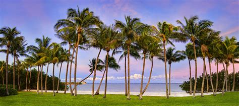 Stuart Florida Palm Beach With Palm Trees At Sunset Panoramic Justin