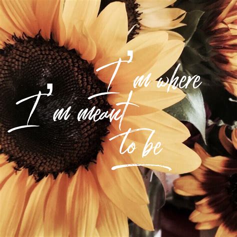 Sunflower Wallpaper With Quote Aesthetic Sunflower Horizontal My XXX