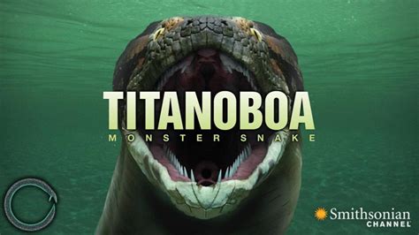 Titanoboa, (titanoboa cerrejonensis), extinct snake that lived during the paleocene epoch (66 million to 56 million years ago), considered to be the largest known member of the suborder serpentes. Titanoboa: Monster Snake Game for Android - APK Download