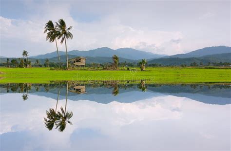 Reflection Of A Rural Scenery In Kota Marudu Sabah East Malaysia