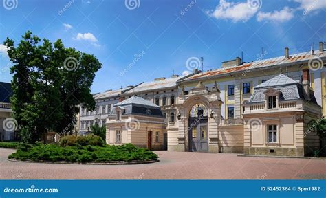 Potocki Palace In Lviv Ukrainian Currently Lviv National Art Stock