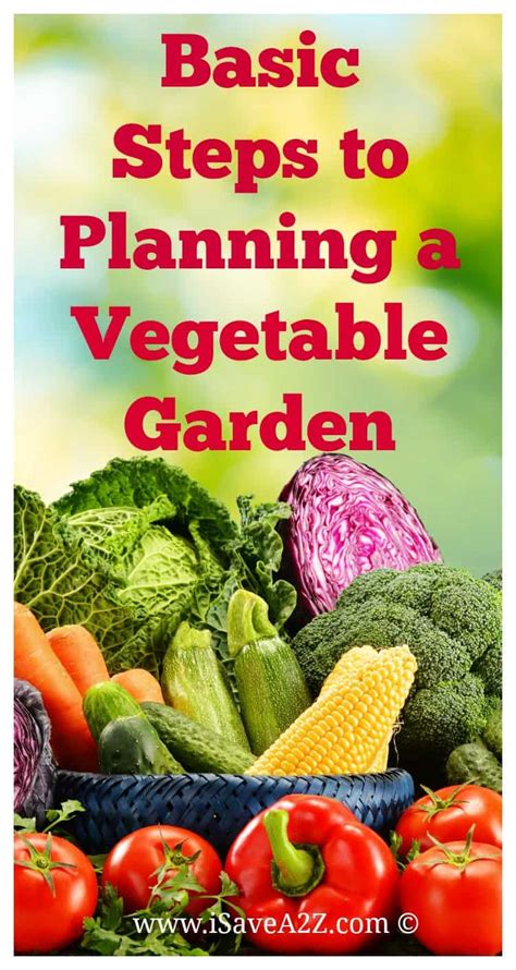 Unless you’re a child, you’ve probably heard cautionary tales from your doctor about the dangers of high cholesterol. Basic Steps to Planning a Vegetable Garden - iSaveA2Z.com