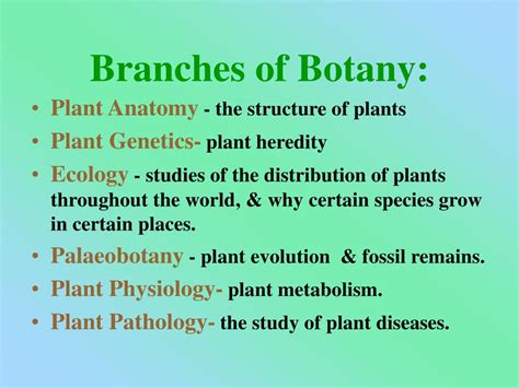 Ppt Welcome To “ Introduction To Botany And Zoology” Powerpoint
