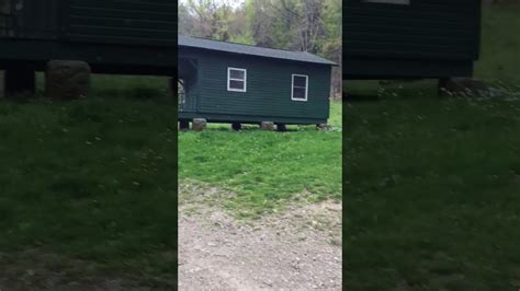Cabin rentals near allegany state park in new york. Allegany State Park - Anderson Trail Cabins 1, 1A, and 2 ...