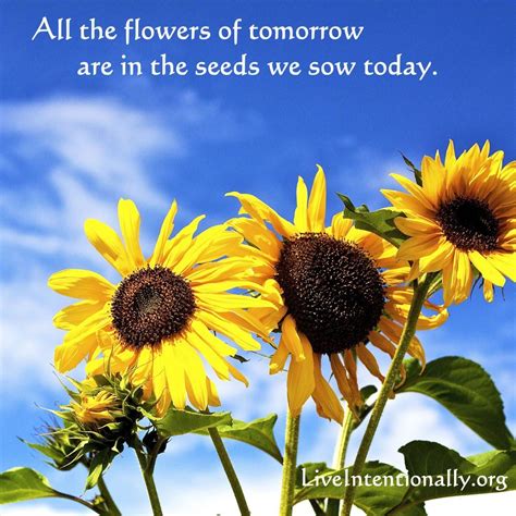 Inspirational Quote All The Flowers Of Tomorrow Are In The Seeds We