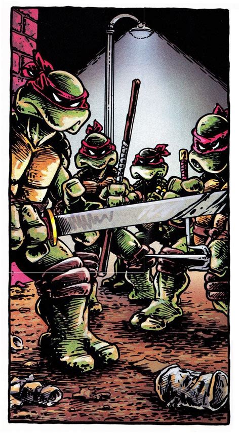 Pin By Cynicalfate On Tmnt Goodness Teenage Mutant Ninja Turtles Art