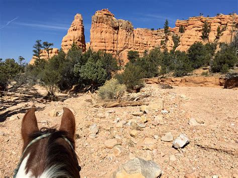 Bryce Canyon Utah Horseback Riding Writing Horseback