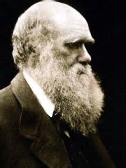 Both darwin and lincoln were born on february 12 timothy dickinson tells us about charles darwin and the depth of the human past. Charles Darwin Zitate und Sprüche ... Zitate.net