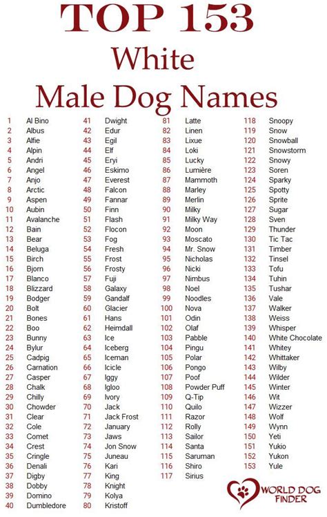 Male White Dog Names Dog Names Male Dog Names Boy Dog Names
