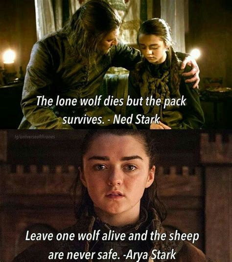 Leave One Wolf Alive And The Sheep Are Never Safe Arya Stark Game Of