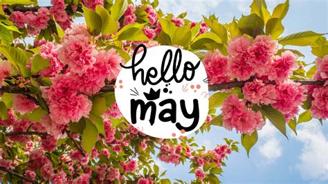 Download May Background