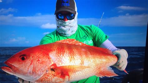 Saltwater Jigging Techniques Correct Rod And Reel Set Up Rigging