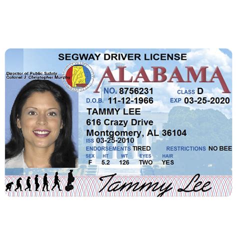 The title must be presented to the licensing official to update the name. Segway Driver's License - souvenir from Lahaina, Maui