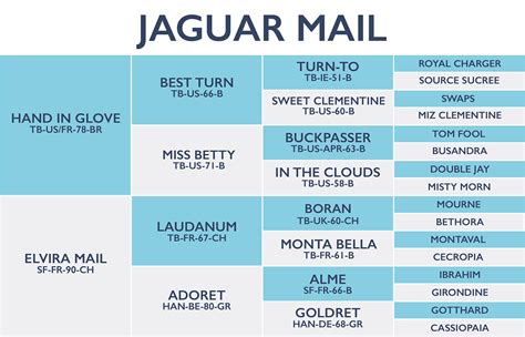 Jaguar Mail | The Horse Magazine
