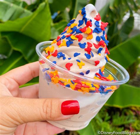Review Another Disney World Hotel Is Now Offering Soft Serve Ice Cream The Disney Food Blog