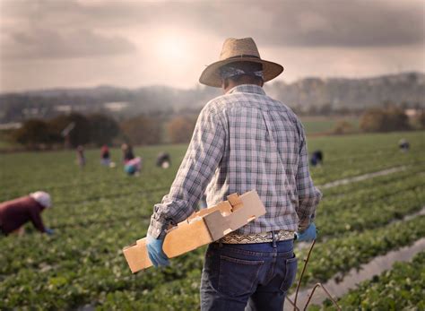 Do Undocumented Immigrants Get Workers’ Compensation In Florida?