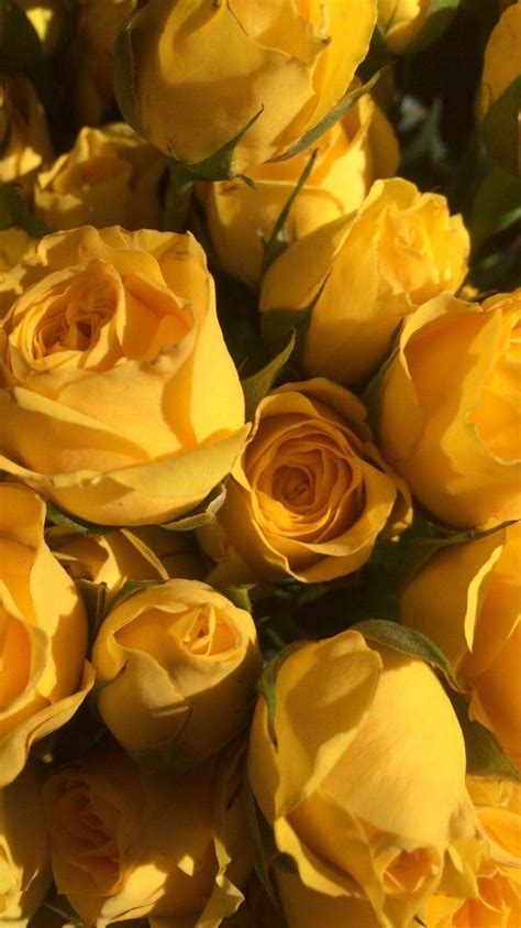 Choose from hundreds of free pastel wallpapers. Cute VSCO Yellow Wallpapers - Wallpaper Cave