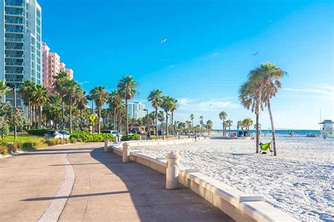 The 24 Best Things To Do In Clearwater Florida