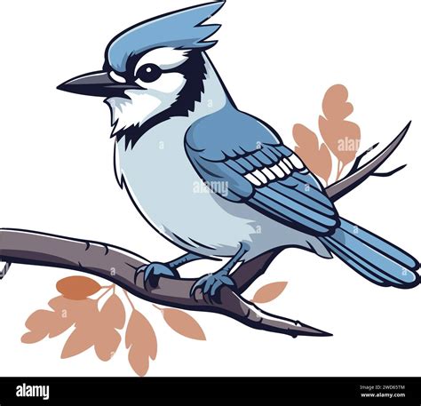 Blue Jay Bird Sitting On A Branch With Leaves Vector Illustration
