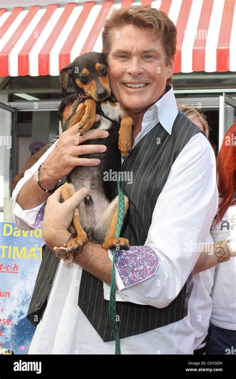 David Hasselhoff Goes To Pinks Hotdog Stand To Promote The Hoff Dog