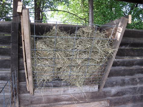 Explore a wide range of the best quail rack on aliexpress to find one that suits you! Raised By Wolves: Tightwad's Goat Hay Rack