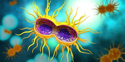 First Cases Of Antibiotic Resistant Gonorrhea Identified In The Us