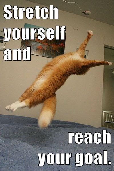 Find the newest mattresses meme. Stretch yourself and reach your goal. | Bed mattress ...