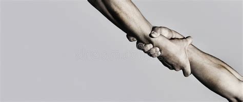 Strong Hold Stock Photo Image Of Hand Help Partner 46282478
