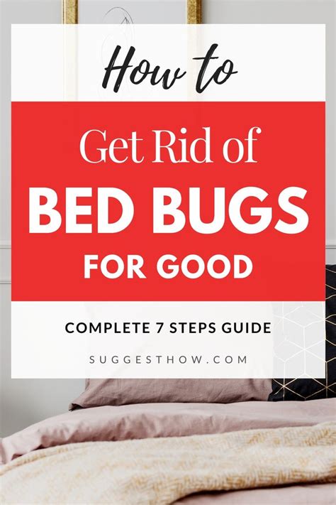 How To Get Rid Of Bed Bugs For Good Easy 7 Steps Guide Rid Of Bed