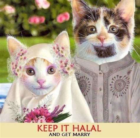 70 Best Muslim Funnies Images On Pinterest Allah Arab