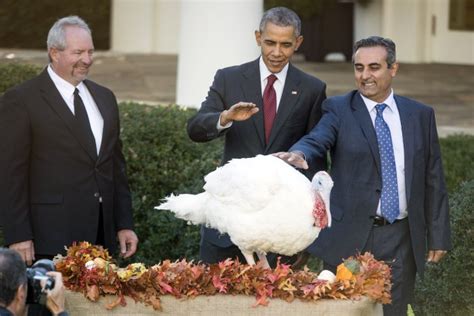 president obama pardons the national thanksgiving turkey all photos