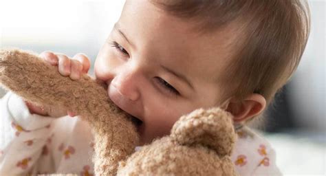 Toddler Biting Why It Happens And How To Stop It Babycenter
