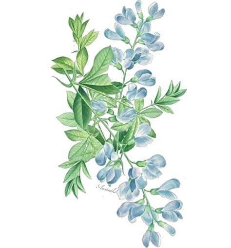 Ftestickers Watercolor Floral Leaves Sticker By Pann70