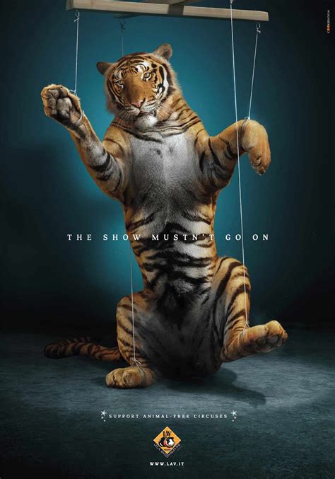 Ad Campaigns Against Animal Cruelty Constancegilfedder
