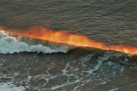 Talk About A Heat Wave Stunning Pictures Show Sea On Fire Mirror