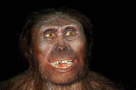 Vor der kälte geschützt, lebte er in höhlen. Der Neandertaler in uns 😎