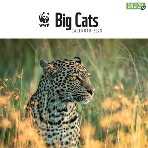 Wwf Big Cats Calendar 2023 Desk Calendars