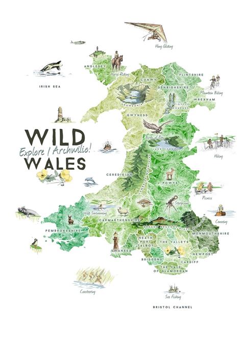 Map is showing wales, a country on the island of great britain, it is one of the four countries which wales is bordered by england to the east, the bristol channel to its south and the irish sea and the. Travel infographic - Wild Wales: Illustrated Map Benjamin Mounsey - InfographicNow.com | Your ...