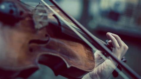 What Is The Difference Between A Violin And A Viola