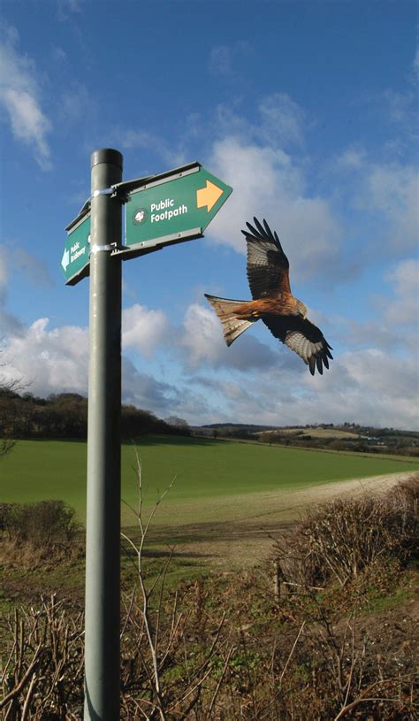 We did not find results for: Red Kite Walk, Studley Green, Bucks | Chiltern View Magazine
