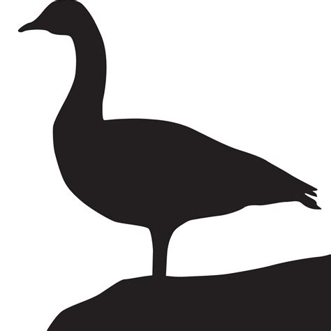 Goose clipart canadian goose, Goose canadian goose 