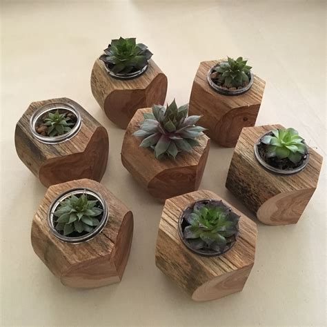 Handmade wooden succulent pots always for sale when we visit farmers