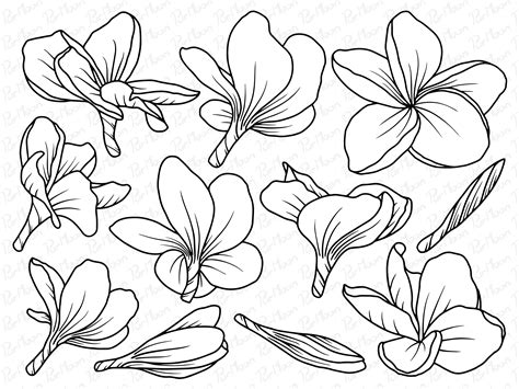 Flowers Line Art Graphic By Purmoon · Creative Fabrica