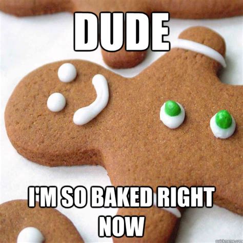 Dude Im So Baked Right Now Misc Quickmeme