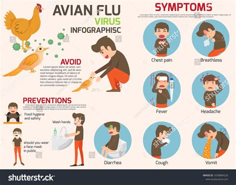 10834 Avian Flu Images Stock Photos And Vectors Shutterstock