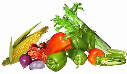 Vegetables Healthy Organic Cooking Vegetarian Vegetable Transparent
