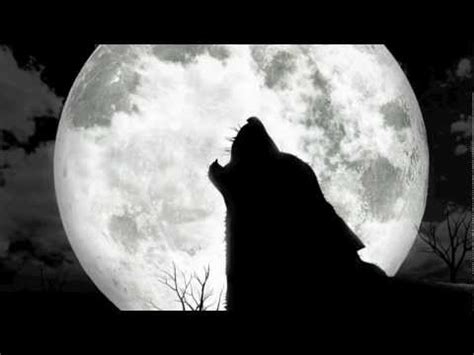 Here you can find the best wolves howling wallpapers uploaded by our community. Wolves Howling At The Moon - YouTube