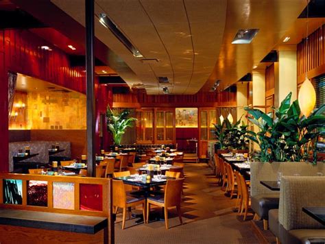 We did not find results for: Paul Punke past projects: Vong Thai Kitchen