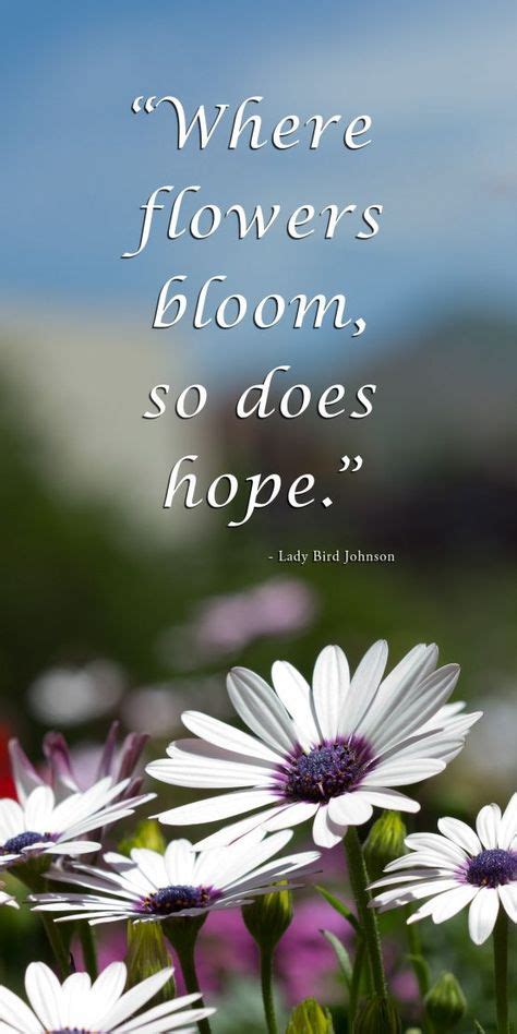 Check spelling or type a new query. Where flowers bloom, so does hope | Beautiful flower ...